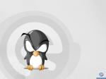 pingu le cous de pinpin